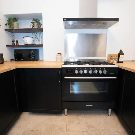 Appartement Ospitalier Iosefin - Heritage, 2 Bedrooms, Free Parking *